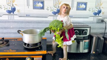 Best Kitchen Playsets for Kids 2026 | Healthy Eating Education Investment Guide
